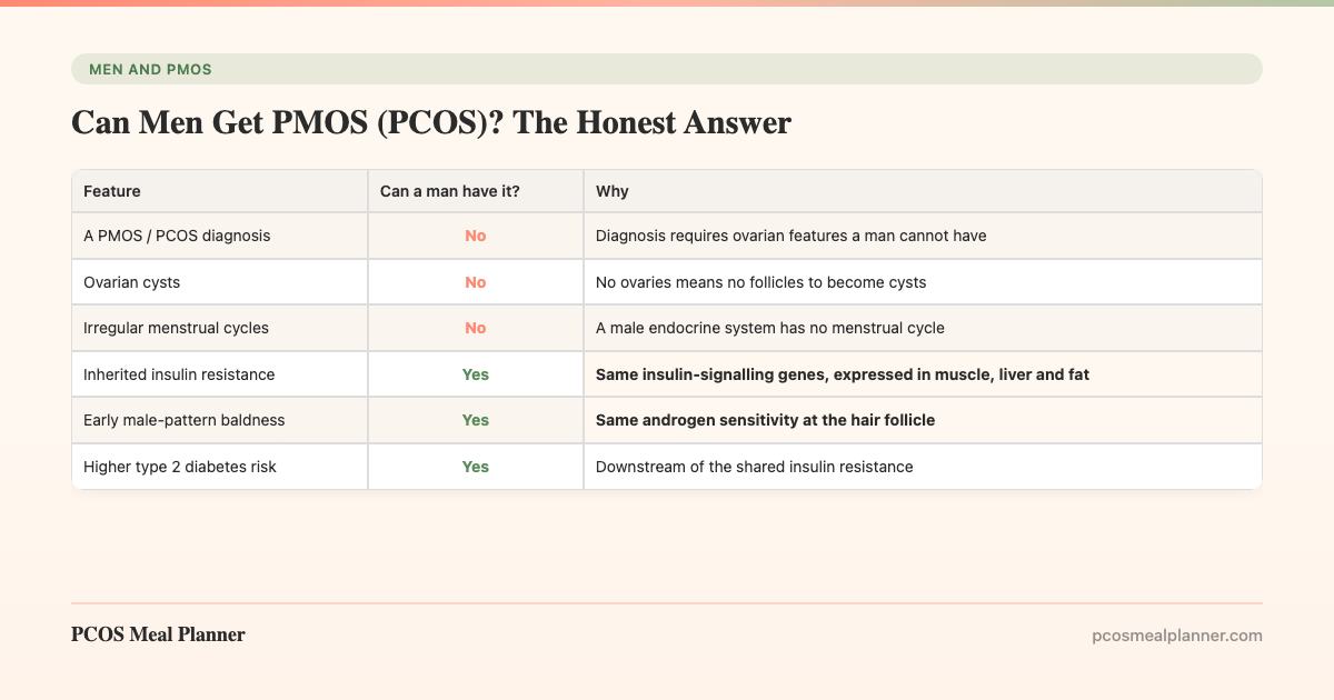 Can Men Get PMOS (PCOS)? The Honest Answer - PCOS Meal Planner Guide
