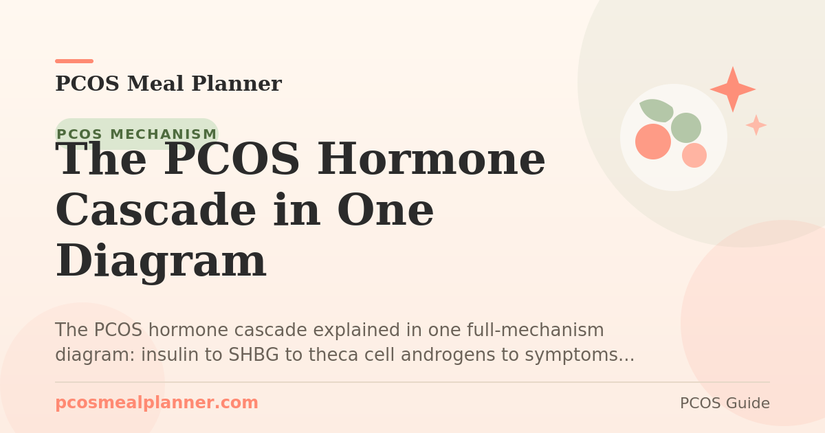 The PCOS Hormone Cascade in One Diagram - PCOS Meal Planner Guide