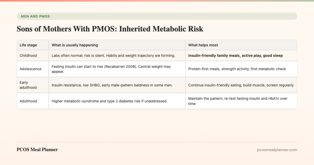 Sons of Mothers With PMOS: Inherited Metabolic Risk - PCOS Meal Planner Guide