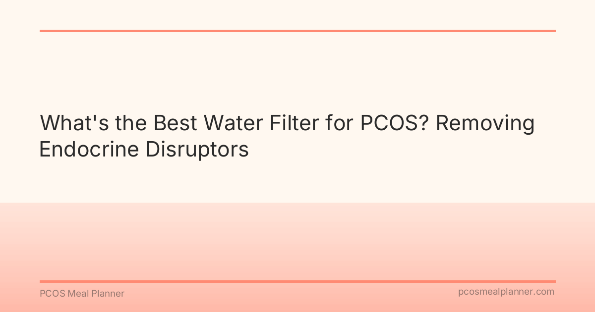 What's the Best Water Filter for PCOS? Removing Endocrine Disruptors - PCOS Meal Planner Guide